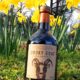 Ziege auf der Blumenwiese: Der Smoky Goat Whisky in natürlicher Umgebung... (Foto: Malt Whisky)