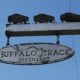 Die in der Vergangenheit zahlreichen amerikanischen Büffel sind Namensgeber für die Buffalo Trace Distillery. (Foto: Malt Whisky)