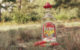 Die markante Flasche mit dem roten Mexiko-Hut hat wohl jeder deutsche Tequila-Trinker schon mal gesehen (Foto: MaltWhisky.de)
