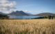 Blick über ein Gerstenfeld auf der Insel - im Hintergrund die Isle of Skye (Foto: Isle of Raasay)