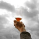 Der erste Whisky eröffnet häufig neue Horizonte und ist der Beginn einer großen Leidenschaft (Foto: MaltWhisky.de)