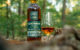 Muss sich nicht verstecken: Der GlenDronach 15 Jahre ist ein ehrlicher Highland-Whisky, der komplett in Sherryfässern reift (Foto: MaltWhisky.de)