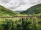 Ein Zug fährt über das Glenfinnan Viadukt in Schottland
